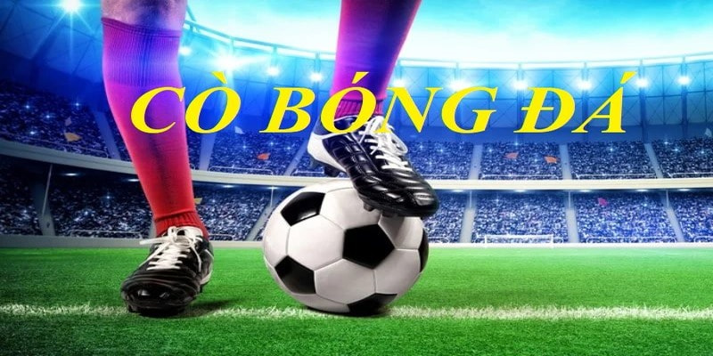 Làm cò trong bóng đá mang đến lợi nhuận lớn