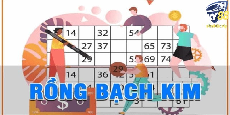 Rồng bạch kim mang tới lợi ích gì cho người dùng?
