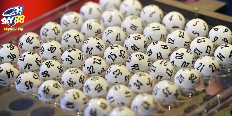 Hướng Dẫn Sử Dụng Bảng Thối Thân Miền Nam Chi Tiết 2024