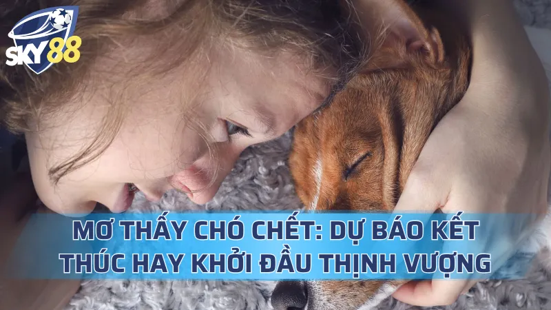 Mơ Thấy Chó Chết