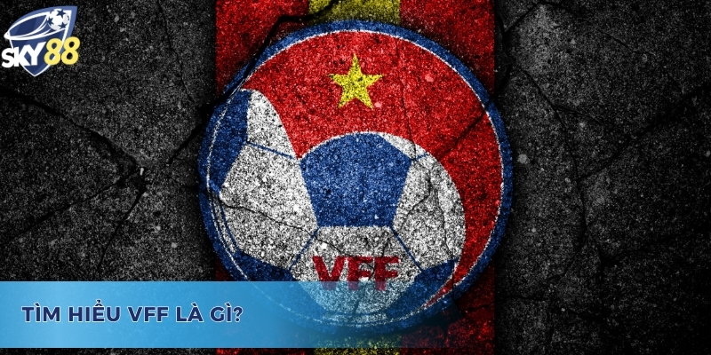 Giải đáp tổ chức VFF là gì