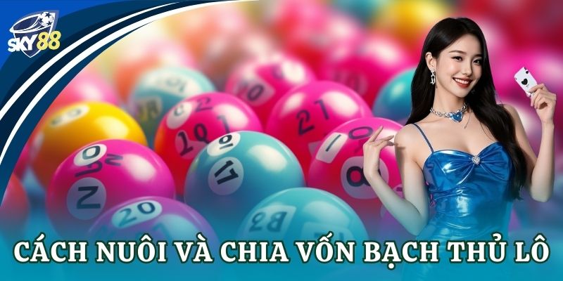 Cách nuôi và chia vốn bạch thủ lô